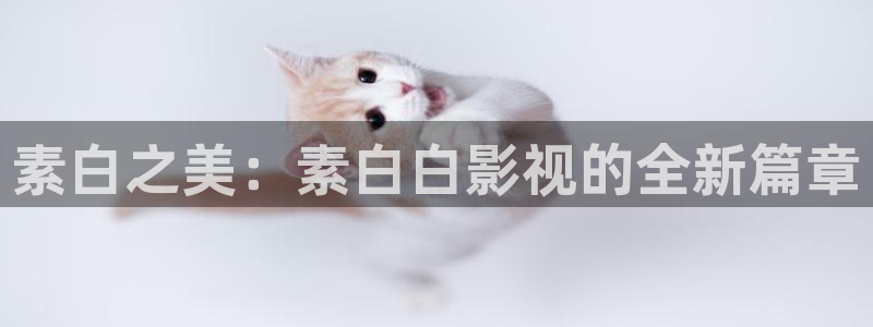 韩国电影西瓜