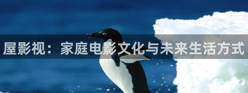 西瓜视频免费看片