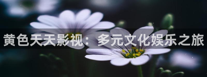 2025西瓜影院：黄色天天影视：多元文化娱乐之旅