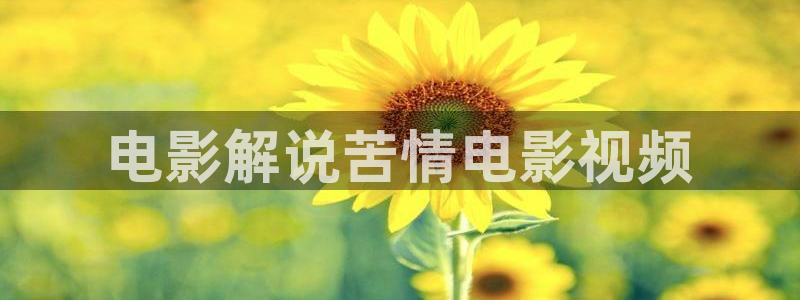 在线西瓜电影