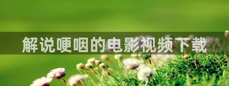 大秦赋免费观看西瓜影院