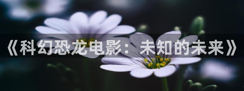 东台西瓜
