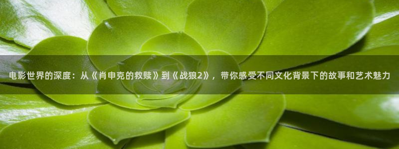 西瓜影院 免费观看