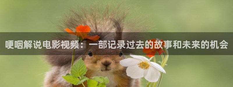 西瓜电影伦理