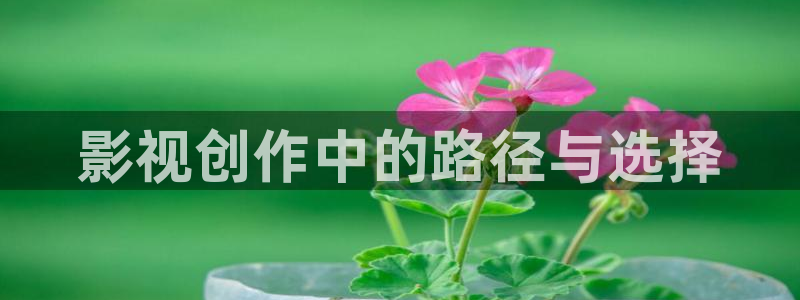 西瓜成人在线观看