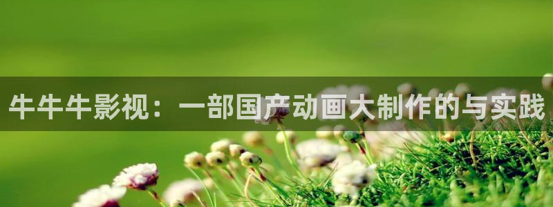西瓜在线电影观看：牛牛牛影视：一部国产动画大制作的与实践