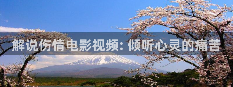 小风暴之时间的玫瑰免费观看西瓜：解说伤情电影视频: 倾听心灵的痛苦