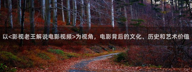 西瓜的电影网：以<影视老王解说电影视频>为视角，电影背后的文化、历史和艺术价值