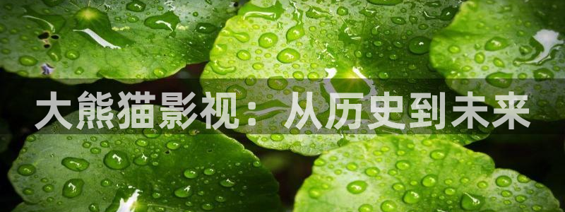 谍战深海之惊蛰免费观看西瓜：大熊猫影视：从历史到未来