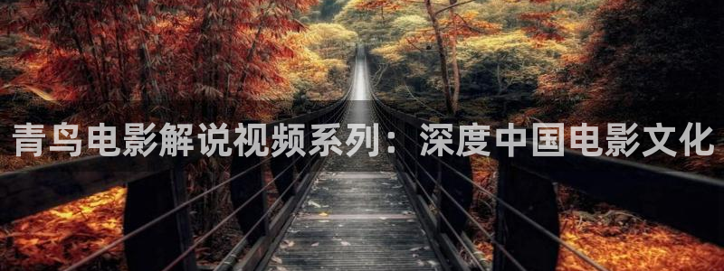 飘雪电影西瓜