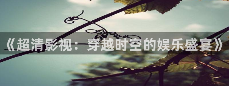 视频西瓜