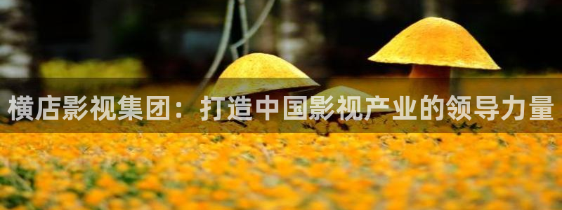 色戒在线西瓜