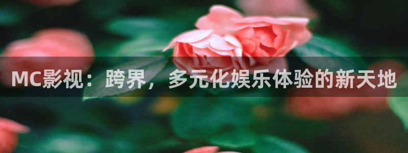 西瓜影院免费观看电视剧