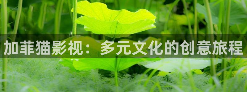 花间令西瓜免费观看