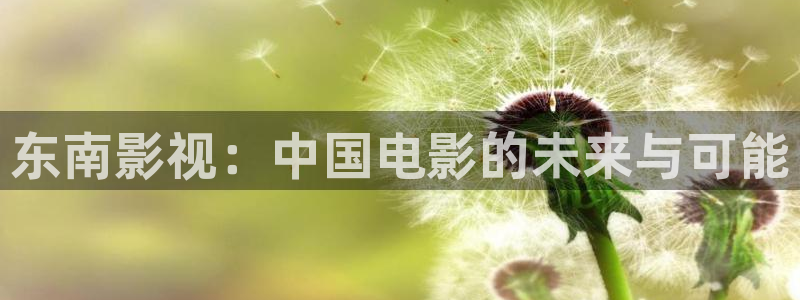 神马电影西瓜