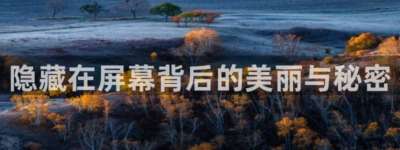 武汉西瓜