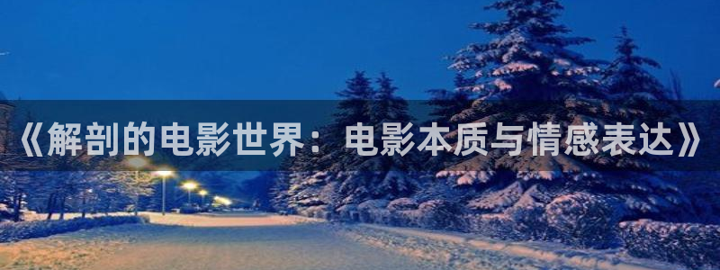 西瓜视频网站