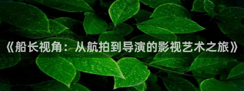 祝卿好免费观看西瓜