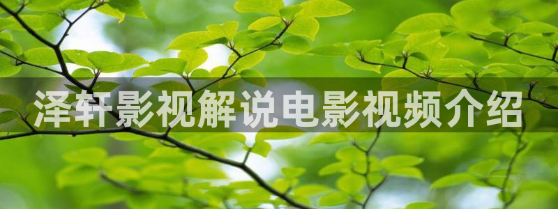 不能没有家免费观看西瓜