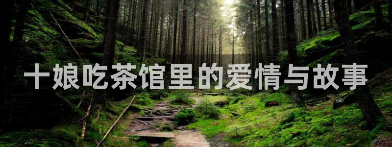爱情不打烊电视剧西瓜免费观看