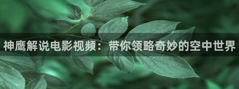 青年医生电视剧西瓜影院