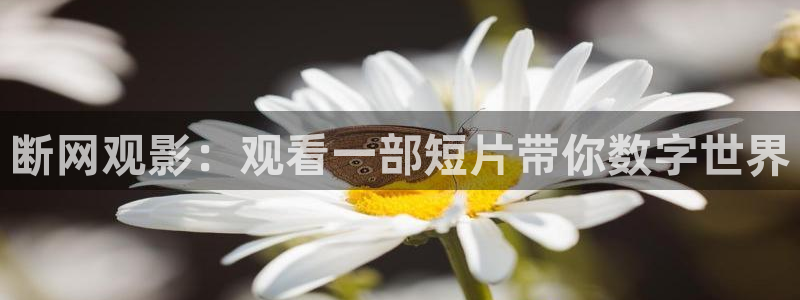 西瓜视濒