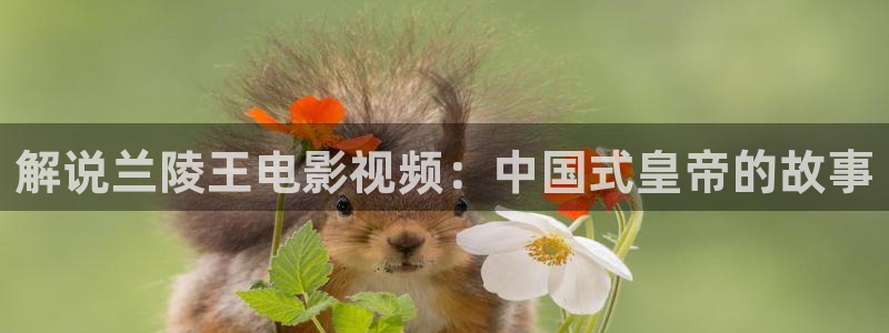 西瓜电影在线观看免费观看
