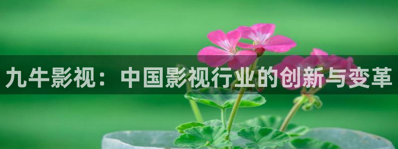 ,西瓜视频