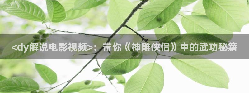 的西瓜