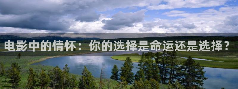 西瓜在线免费影视