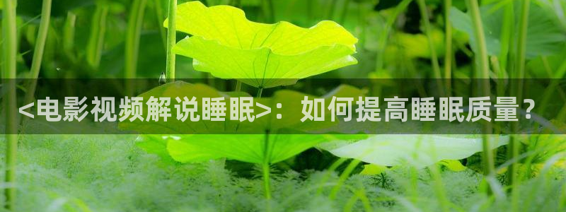 西瓜论理电影网