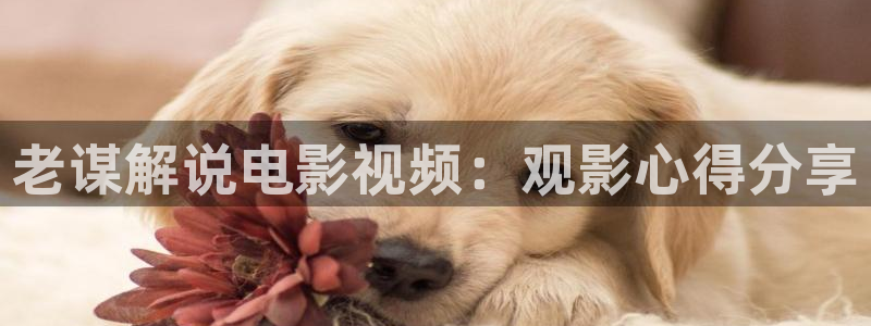 万界仙踪免费观看西瓜