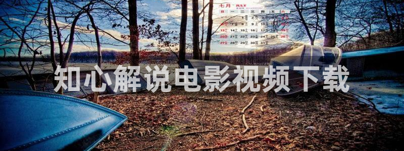 西瓜视频网站在线观看