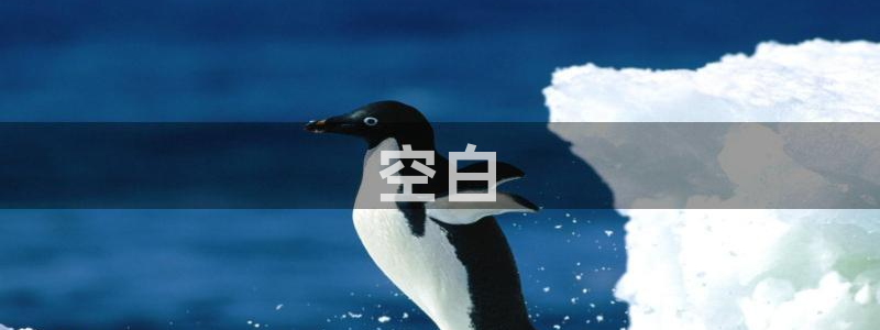 西瓜影院免费收看