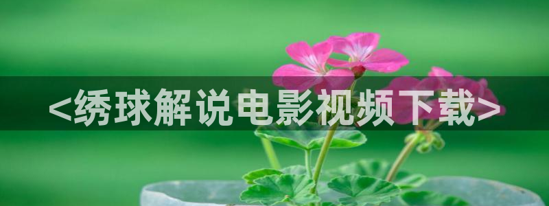 西瓜琪琪影院
