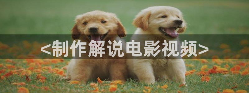 红色电视剧免费播放西瓜影院
