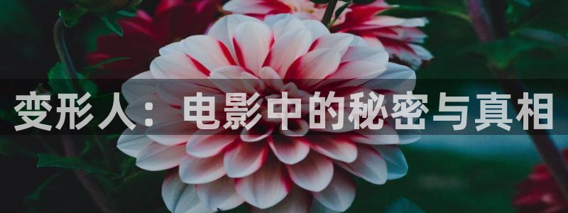 恋恋不忘电视剧免费全集观看西瓜