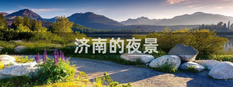 西瓜电影妈妈的朋友