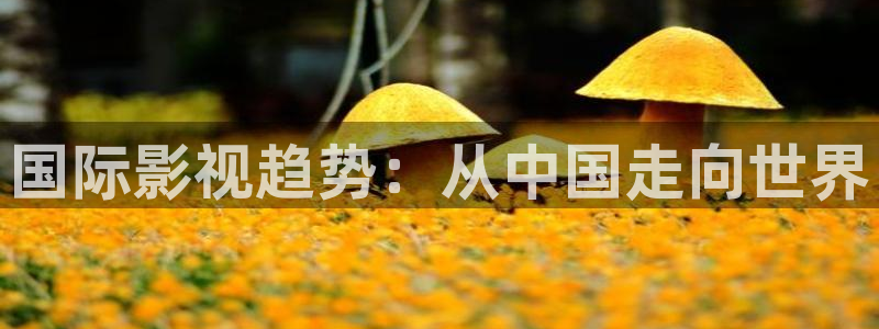 不想和你有遗憾免费观看全集西瓜