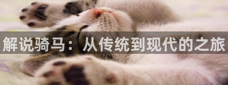西瓜影音在线