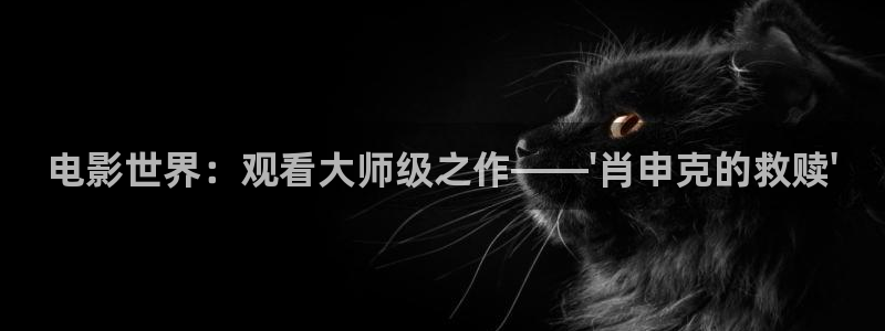 爱情不打烊电视剧免费观看西瓜