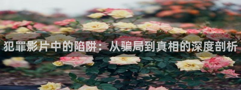 神马西瓜电影