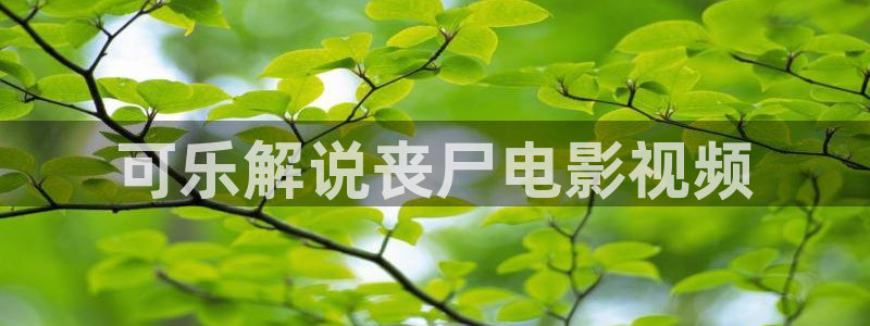 武庚纪全集免费观看免费西瓜