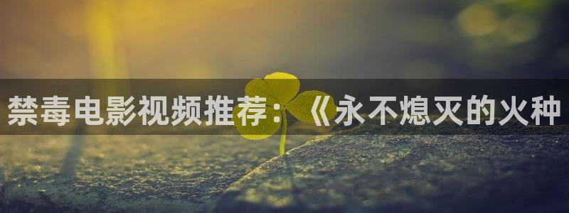 西瓜视频免费看