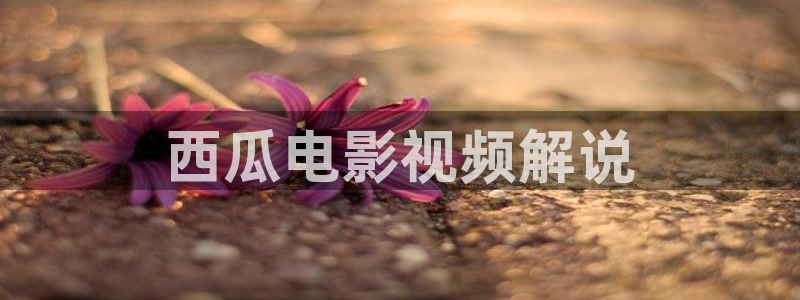 西瓜视频西瓜视频