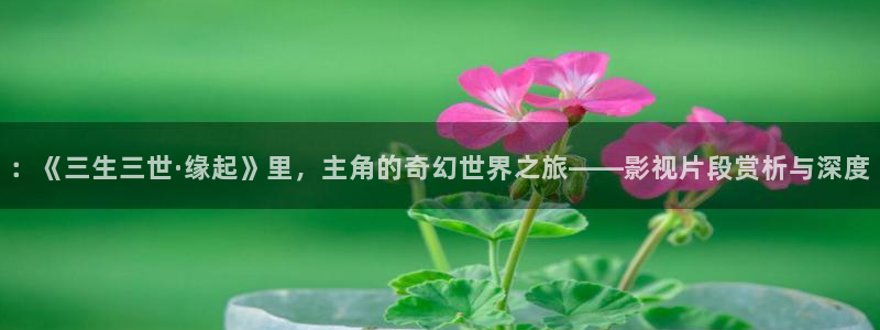西瓜影院2016