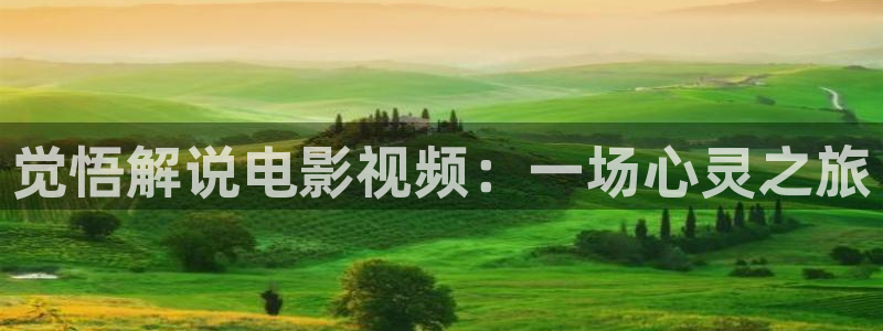 电视剧今生有你免费观看西瓜