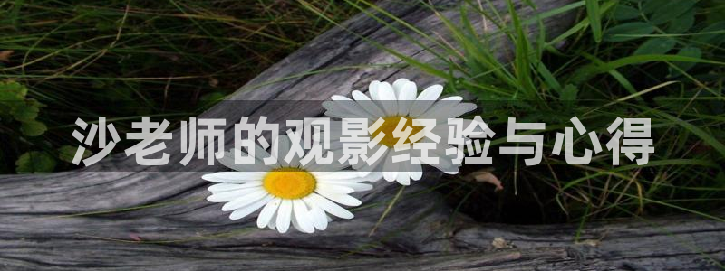 西瓜视频在线看