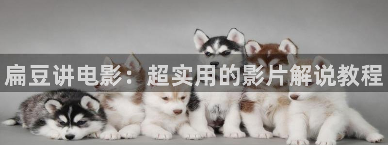 电影网站 西瓜影院
