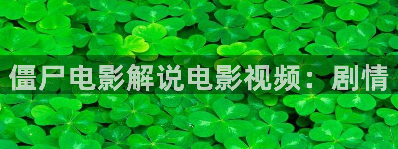 我的阿勒泰全集免费观看西瓜影院